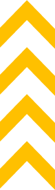 Asset 6@4x
